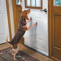 zombie proof your front door