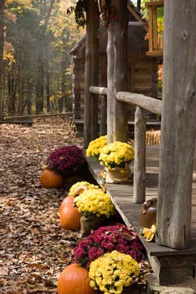 CTR: What makes a decorated porch