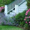 Front Yard Landscaping with perennials around porch steps