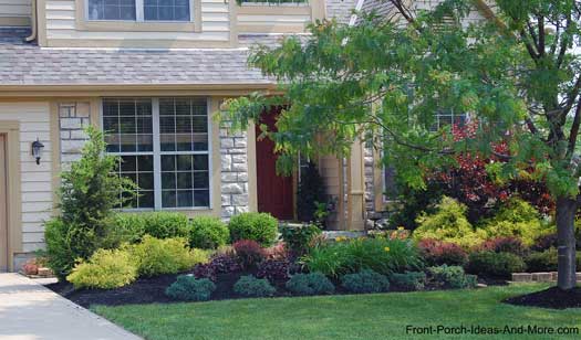 nicely landscaped front yard