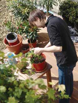 Container Gardening | Healthy Herbs | Container Gardening Ideas
