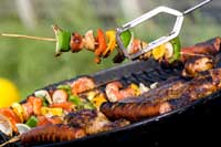Grilled shish-kebobs