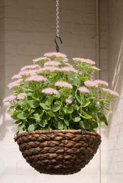 select the right basket