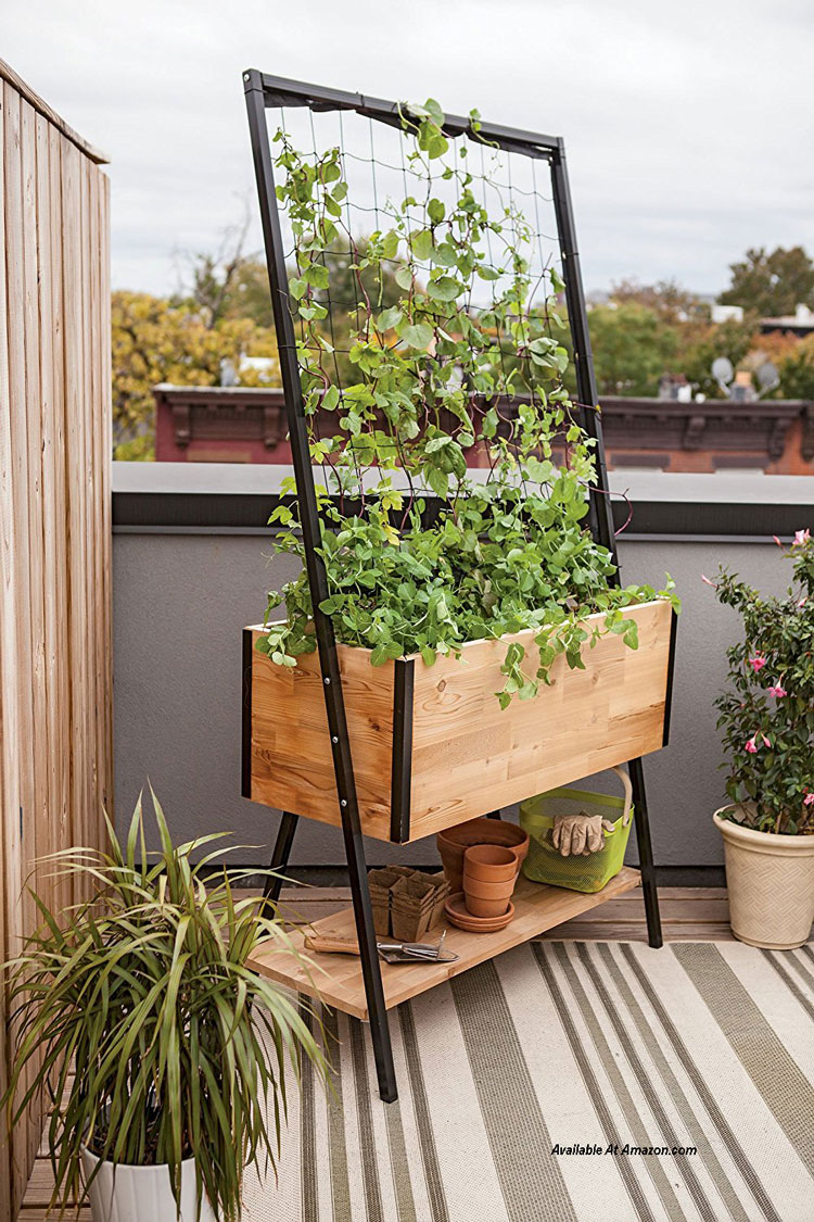 See These Self Watering Planter Options and Ideas