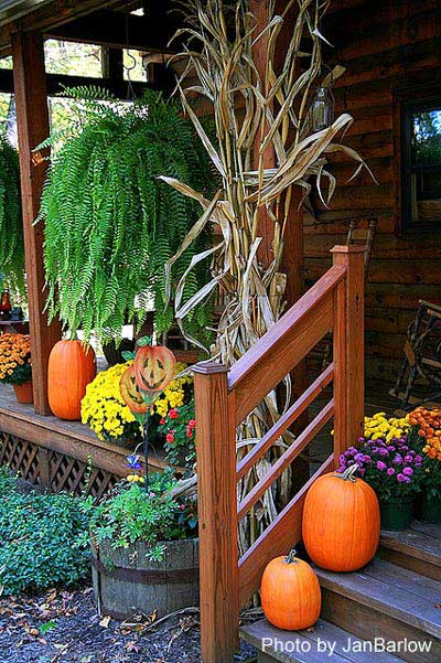 traditional cornstalks, mums, and pumpkins on porch