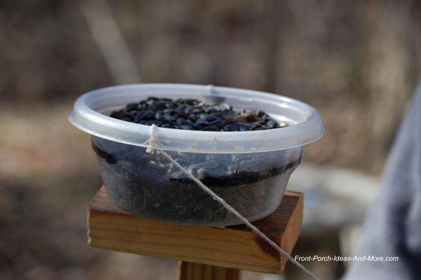 cup full of bird seed