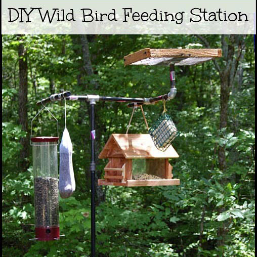 wild bird feeding station with platform feeder