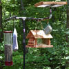 diy wild bird feeding station with platform feeder