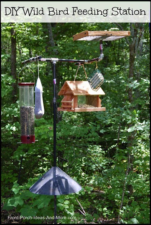 Bird Feeding Station Ideas 