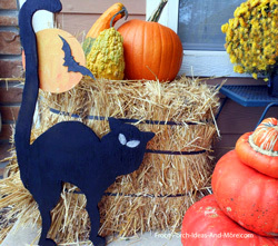 black cat on picket fence