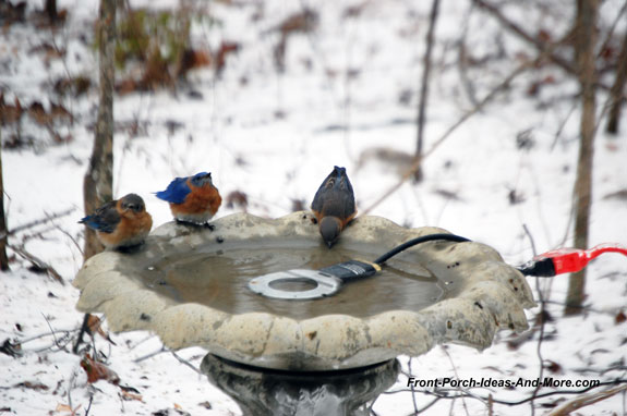 our birds enjoy our birdbath even in the winter