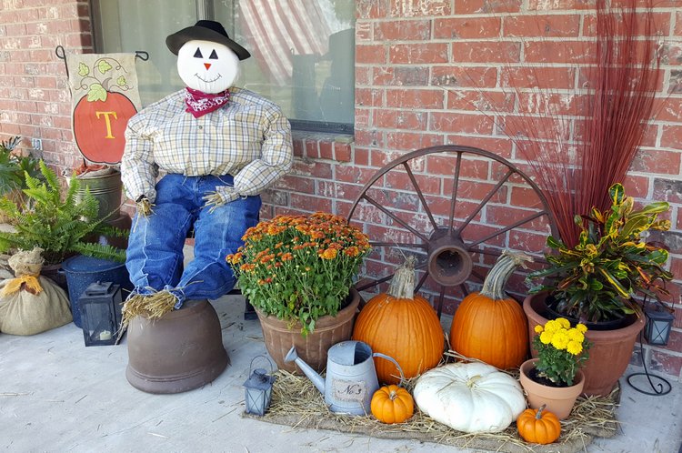 traditional scarecrow man in jeans and plaid shirt