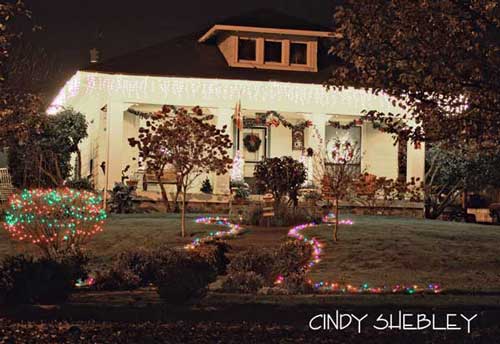 Christmas light idea example