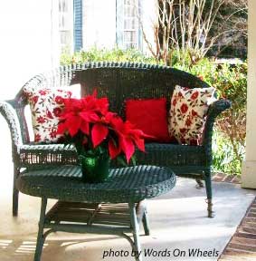 Christmas poinsettias on table