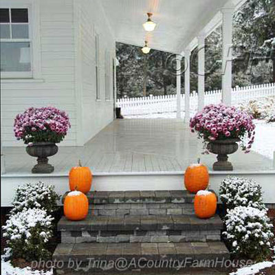 country rustic front porch decor