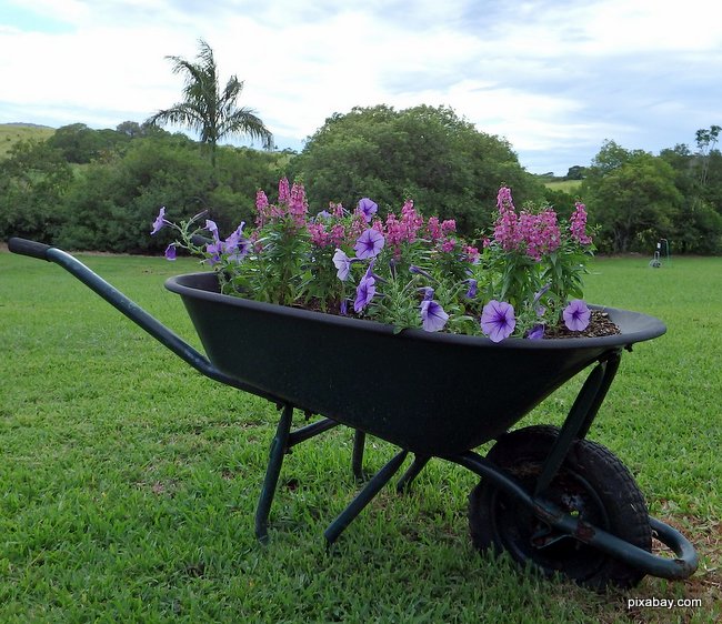 wheel barrow with flowers makes for a nice decoration for a porch