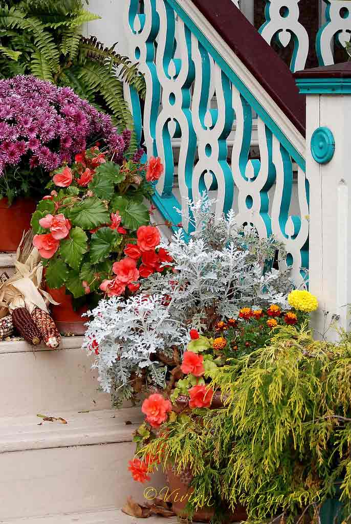 beautiful fall plants on front porch steps