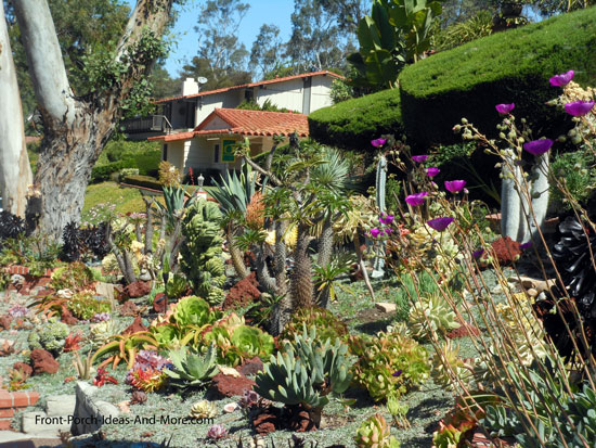 Succulent Garden Designs Pictures Of Succulents Front Porch Ideas