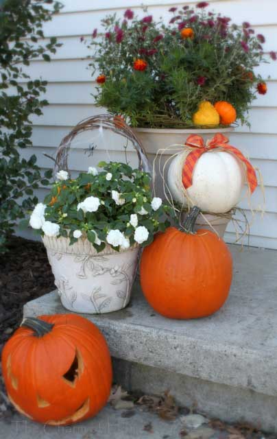 Decorative Pumpkins for Perfect Autumn Appeal