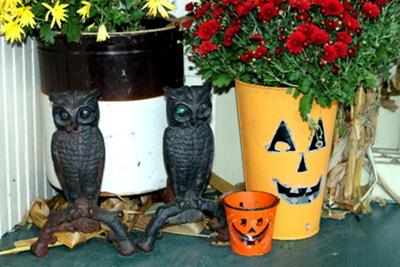 owls and colorful planters