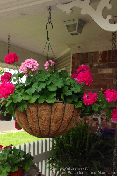 Gorgeous hanging baskets