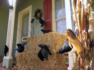 Halloween crows on bales of straw