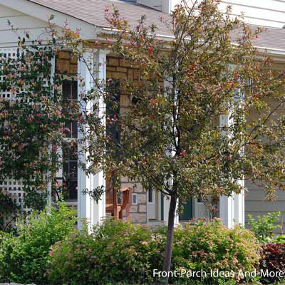front porch with shrubbery and tree for privacy