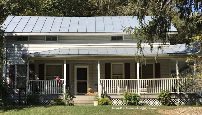 metal porch roof and good looking dog