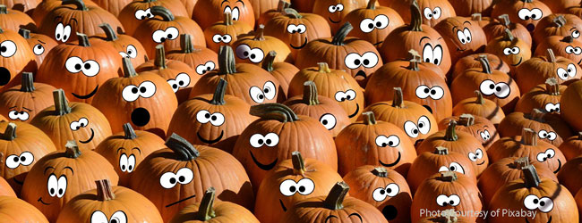 pumpkins with funny faces