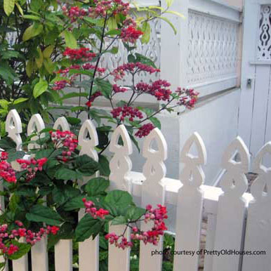 picket fence dog ear design surrounded by flowers