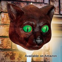 porch cat light cover for Halloween from Amazon