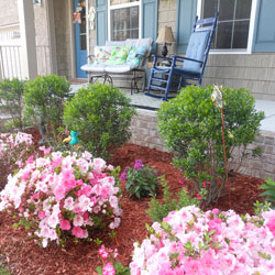 beautiful landscaping in front of front porch