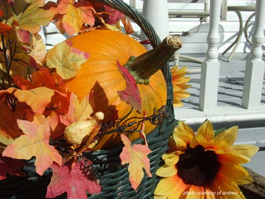 autumn decoration of large pumpkin and leaves in basket