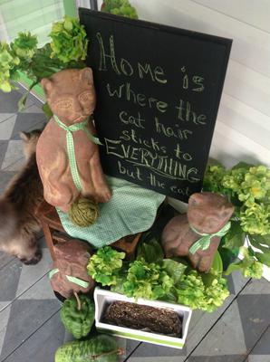 purrfect summer on the front porch