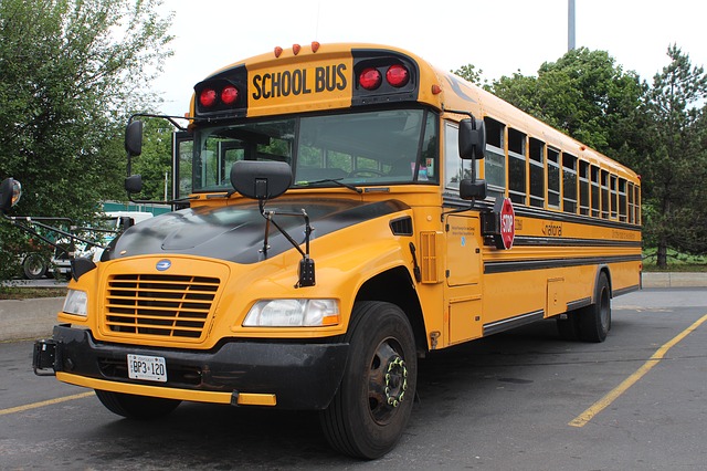 School bus