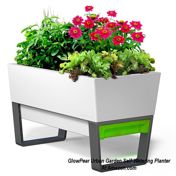 glowpear urbgan self watering planter