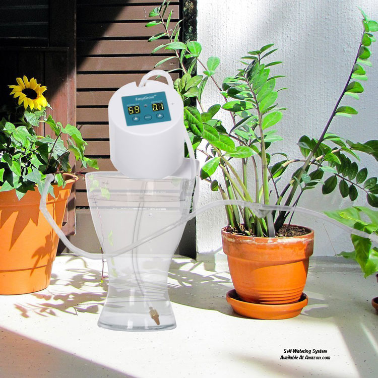 Container Gardening Ideas You Can Use