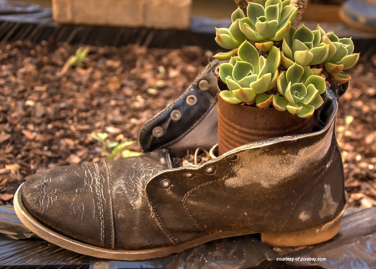 old shoe turned into planter