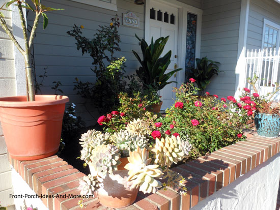 Succulent Garden Designs Pictures Of Succulents Front Porch Ideas