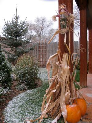 Thanksgiving decorations dusted by snow