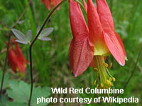 pouring concrete piers for front porch foundation