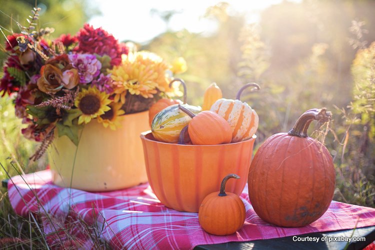 outdoor arrangement with colorful flowers and pumpkins