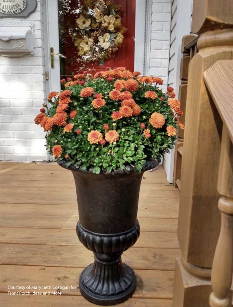A gorgeous autumn planter on Mary Beth's porch