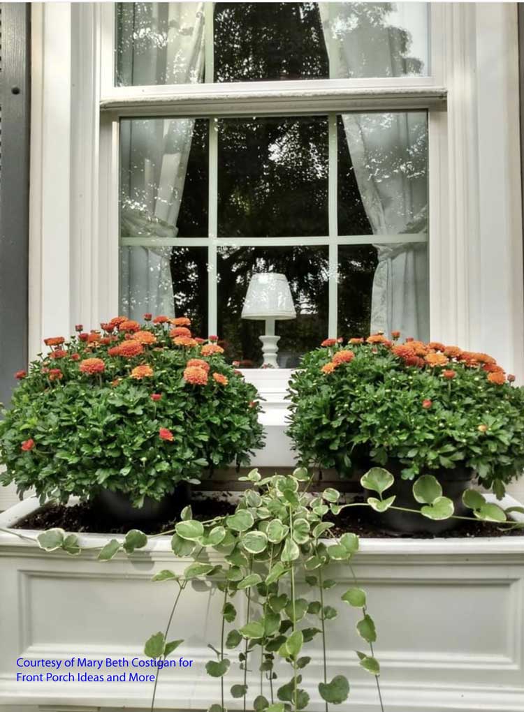 A wonderful autumn window box planter