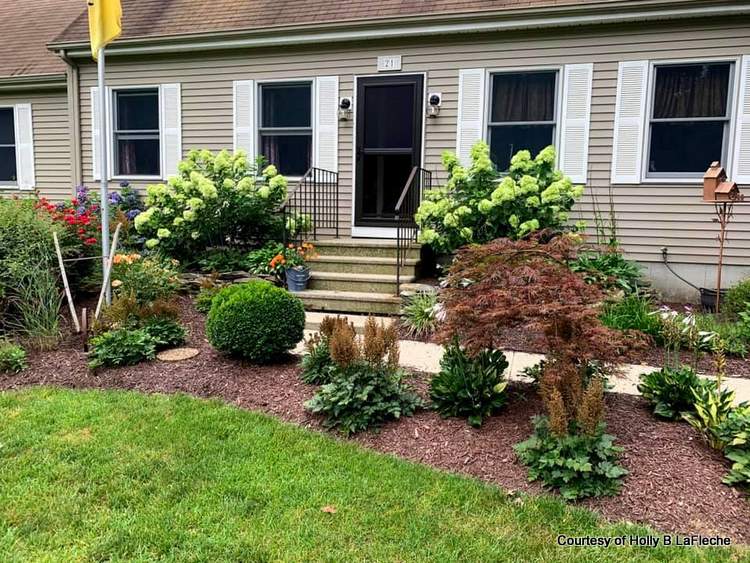 Holly's home before her new front porch - beautiful plants