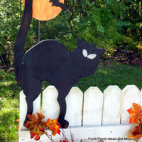 black cat and harvest moon