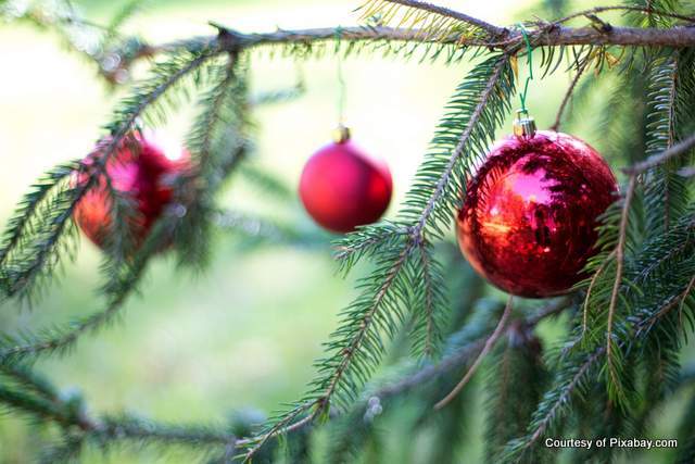 Green evergreen branches with shiny red bulbs