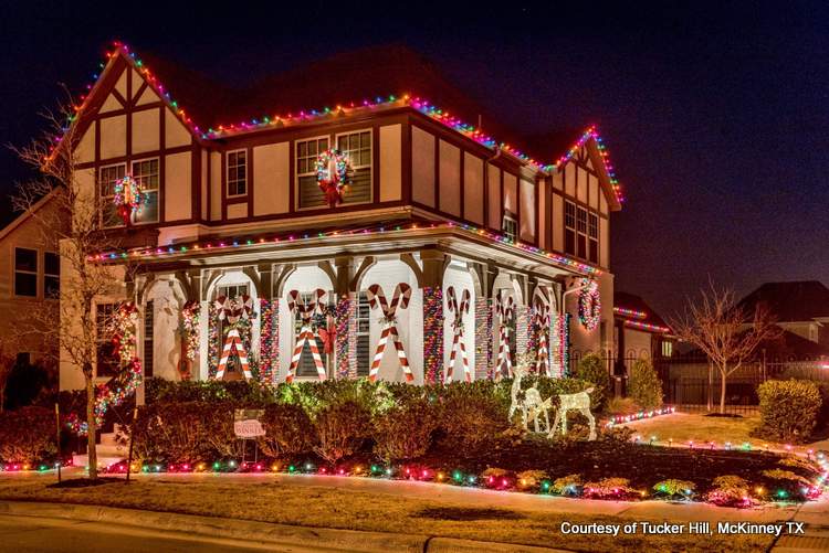 Create A Grinch Christmas For Holiday Fun