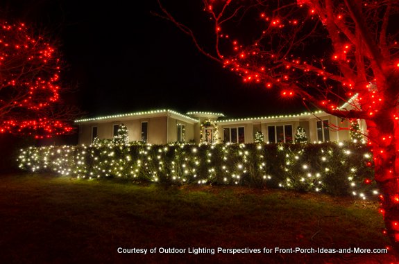 Christmas Light Web Design