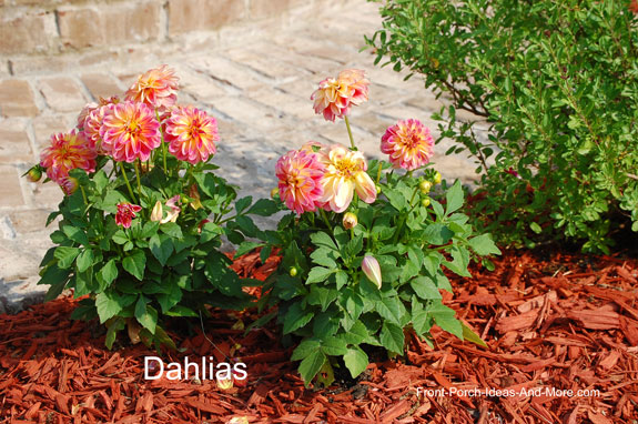 Front Lawn Landscaping Ideas | Front Yard Landscaping Ideas | Front